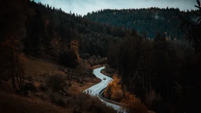 Скачать 1920x1080 дорога, движение, лес, деревья обои, картинки full hd,  hdtv, fhd, 1080p картинки