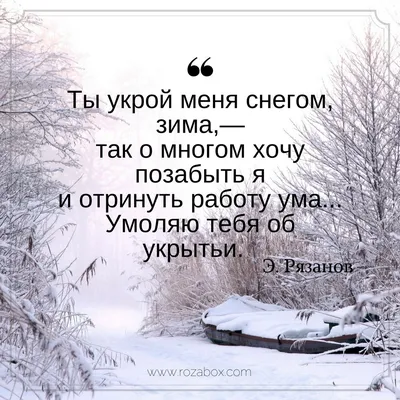 Лучшие стихи великих поэтов о зиме Ты укрой меня снегом, зима… Ты укрой  меня снегом, зима,— так о многом хочу позабыт… | Стихи, Позитивные цитаты,  Литература цитаты картинки