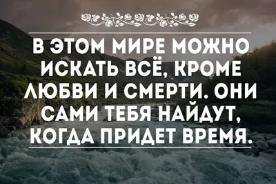 Картинки о смысле жизни в 2023 г | Красивые цитаты, Мудрые цитаты,  Правдивые цитаты картинки