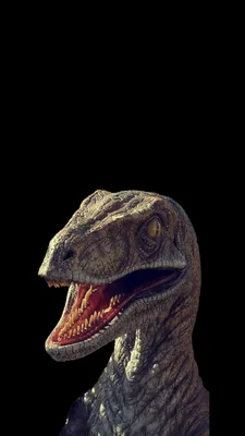 Dinosaur wallpaper phone | Dinosaur wallpaper, Wallpaper, Dinosaur картинки