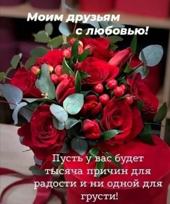 Pin by Римма on ПОЖЕЛАНИЯ МОИМ ДРУЗЬЯМ ! | Plants, Flowers, Rose картинки