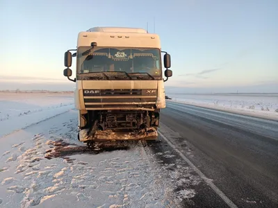 Омск | Жительница Омской области угодила под колеса фуры - БезФормата картинки