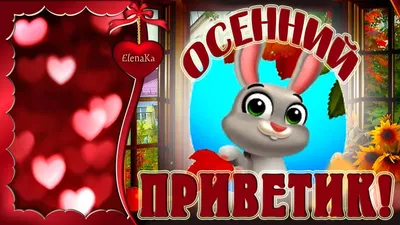 Осенний приветик, Королева Осени! Люблю! - Музыкальная открытка с осенним  приветом! - YouTube картинки