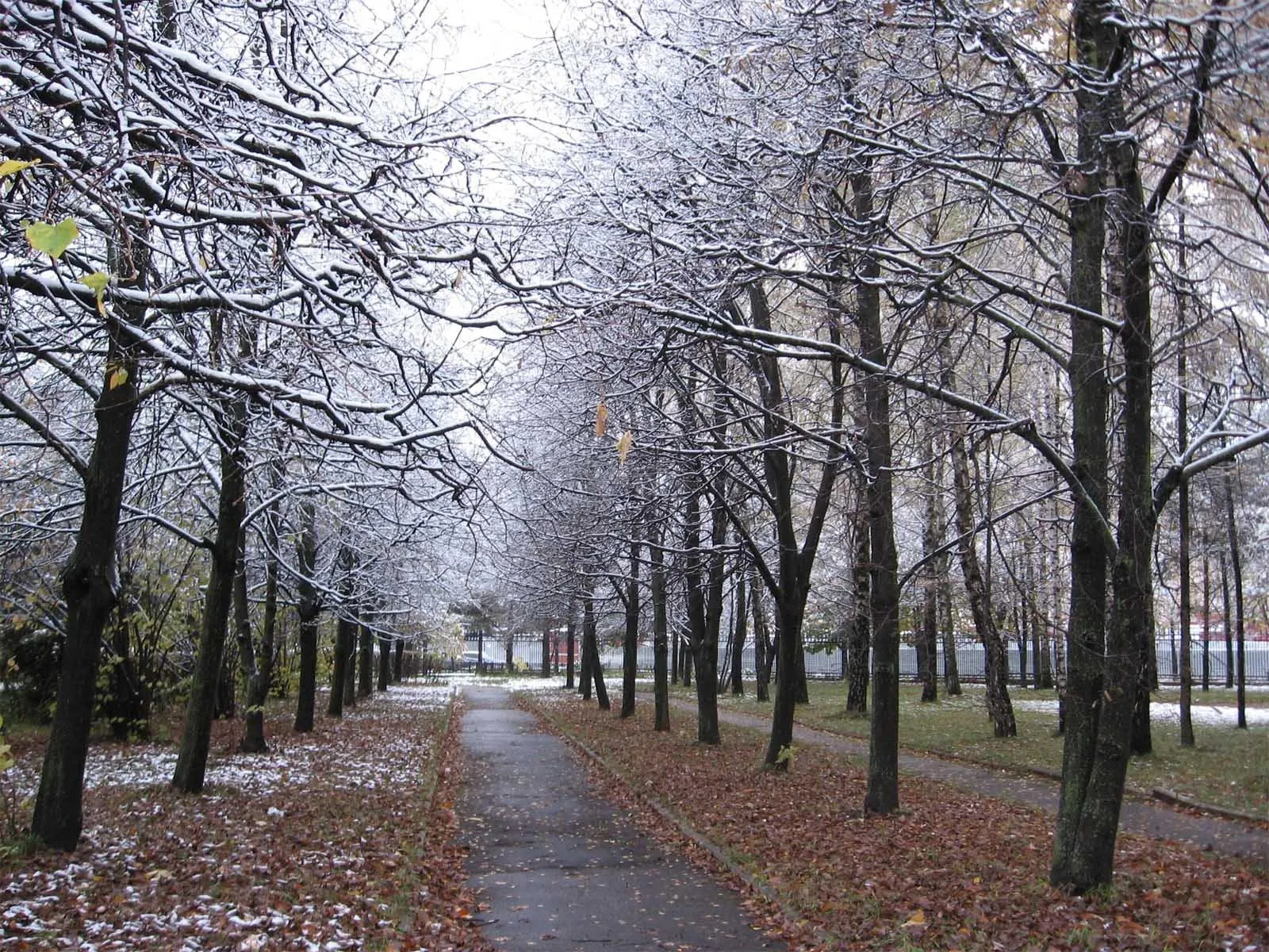 Ноябрь В Москве Фото Красивые