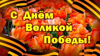 День Великой Победы: лучшие открытки и поздравления с 9 Мая картинки