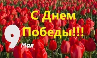 Поздравления с Днем Победы - С 9 мая - your-fantasy.com.ua картинки