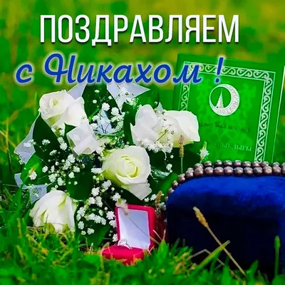 Открытки на Никах картинки