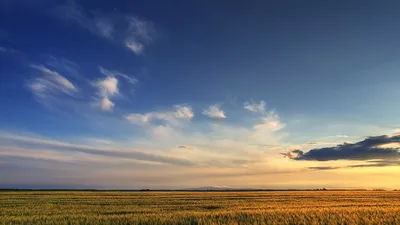 Обои поле, небо, облака, закат, просторы картинки на рабочий стол, фото  скачать бесплатно картинки