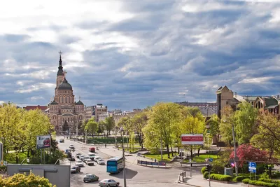 Поздравляем с Днем города Харькова и Днем Государственного Флага! - Новости  спорта в Харькове картинки