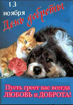 Идеи на тему «День Доброты» (56) | открытки, праздник, сонные цитаты картинки