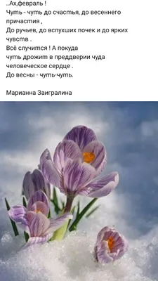 Идеи на тему «Скоро Весна...» (150) в 2023 г | весна, открытки, зимние  цитаты картинки