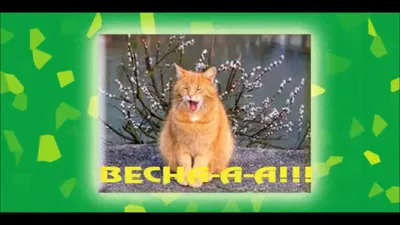 Скоро весна - YouTube картинки