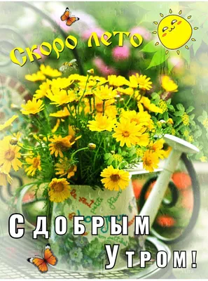 ДОБРОЕ 🦋🍃🌞🌿🦋 УТРО! СКОРО ЛЕТО! С последним месяцем Весны! | Зимние  сцены, Весна, Лето картинки