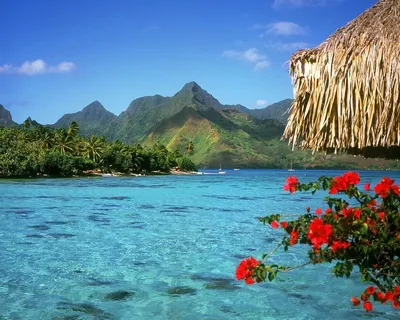 Обои на рабочий стол Гавайские острова / Hawaiian Islands, прозрачная вода  не далеко от теплых берегов, обои для рабочего стола, скачать обои, обои  бесплатно картинки