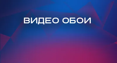 Как сделать видео обои из любого видео на рабочий стол для ПК картинки