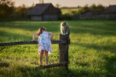 Про друзей. | Фотограф Irina Osm | Фото № 36462 картинки