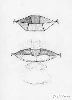 Как рисовать губы в портрете? Рисунок карандашом с обучающими схемами —  zaholstom.ru картинки