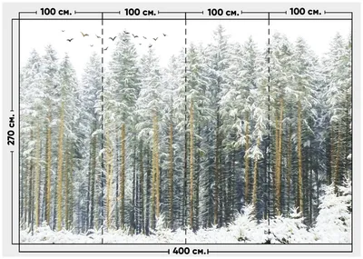 Фотообои / флизелиновые обои Сосны в снегу 4 x 2,7 м — купить в  интернет-магазине по низкой цене на Яндекс Маркете картинки