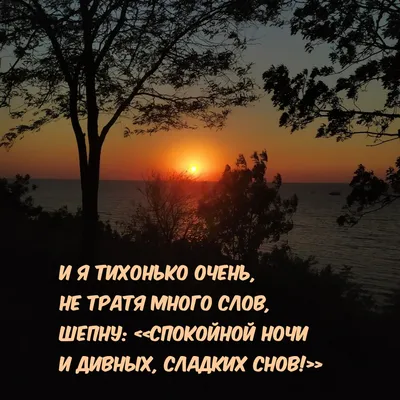 Картинки с надписью - Спокойной ночи и дивных, сладких снов!. картинки