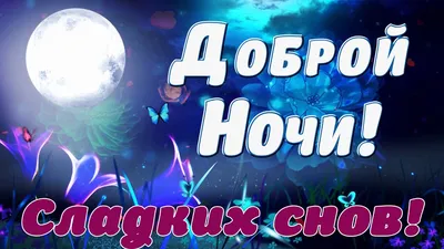 ДОБРОЙ НОЧИ!⭐ 🌙 Красивое пожелание Спокойной Ночи! Сладких Снов! Тебе от  меня! - YouTube | Ночь, Спокойной ночи, Веселые шутки картинки