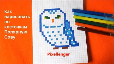 Полярная Сова Как рисовать по клеточкам Пиксель How to draw Polar Owl Pixel  Art - YouTube | Полярная сова, Сова, Рисовать картинки