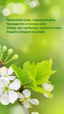 Картинка: Прекрасное утро, чарующий день, проведи его в полную силу. картинки