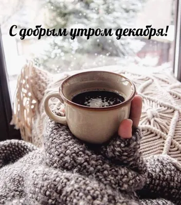 Instagram post by Natalia Elkhova • Dec 2, 2021 at 11:28pm UTC | Доброе  утро, Зима, Разное картинки