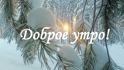 С добрым утром! Пожелания с добрым февральским утром. Скоро весна! - YouTube картинки