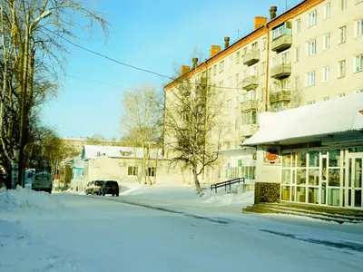 Перед приездом Шпорта снег с улиц Николаевска-на-Амуре как ветром сдуло -  AmurMedia картинки