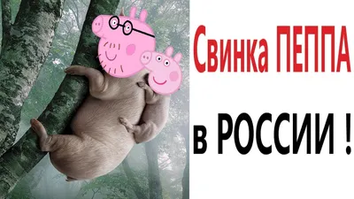 Лютые приколы. СВИНКА ПЕППА В РОССИИ!!! Попробуй не засмеяться! Самое  смешное видео! – Domi Show! - YouTube картинки