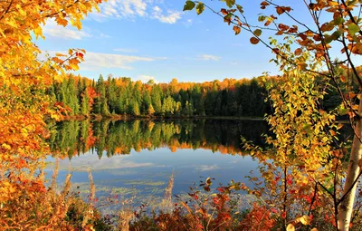 Обои осень, небо, листья, облака, деревья, озеро, пруд, Autumn, сентябрь,  золотая осень, Golden autumn картинки на рабочий стол, раздел пейзажи -  скачать картинки