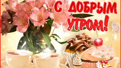 С добрым утром! Прикольная открытка пожелание доброго утра и отличного дня!  - YouTube картинки