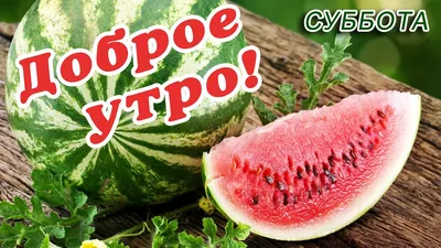 СУББОТА 🌞 ДОБРОГО УТРА / ДОБРОЕ УТРО / С ДОБРЫМ УТРОМ / ДОБРОГО УТРА  ЛЮБИМОЙ / ДОБРОЕ УТРО КАРТИНКИ - YouTube картинки