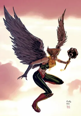 Hawkgirl - ПРОЕКТ НЕПРЕРЫВНОСТИ DC картинки