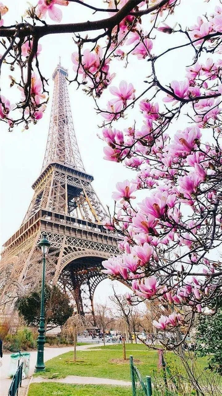 эйфелева башня в цветах