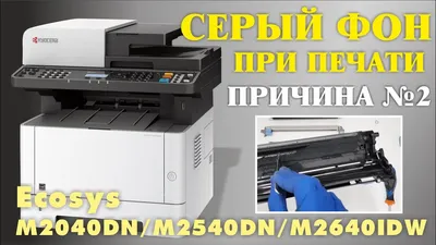 СЕРЫЙ ФОН ПРИ ПЕЧАТИ ПРИЧИНА № 1 KYOCERA Ecosys M2040DN, M2540DN, M2640IDW  /ГРЯЗНО ПЕЧАТАЕТ - YouTube картинки