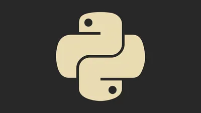 Обои программист на Python, питон, Язык программирования, стояние,  интегрированная среда разработки - картинка на рабочий стол и фото бесплатно картинки