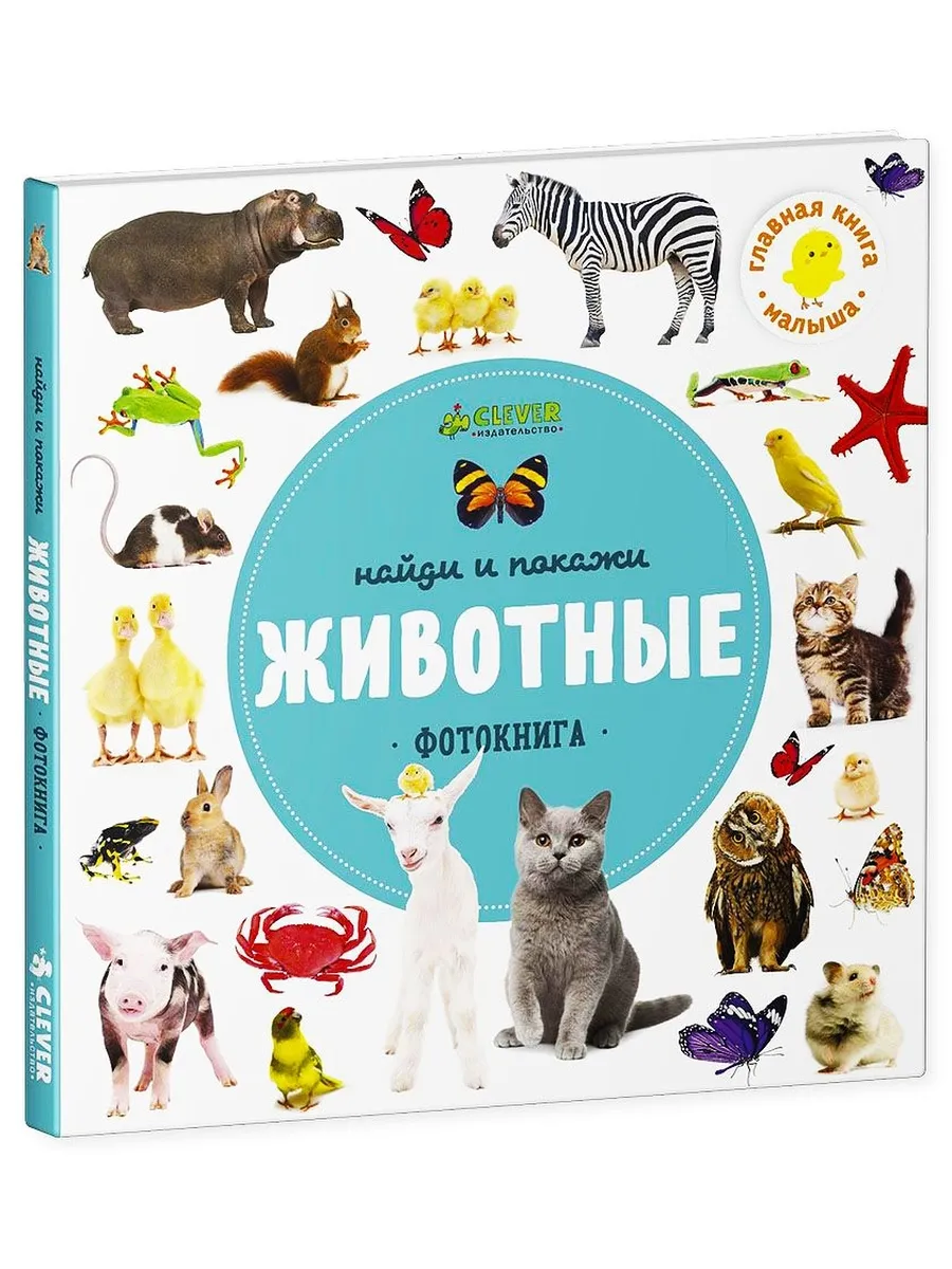 Google покажи картинка #587301 - Найди и покажи. Фотокниги. Животные ...