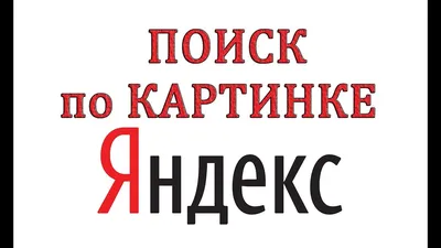 Яндекс поиск по картинке с телефона: быстро и просто картинки