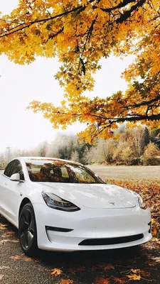 Tesla Model S - iPhone обои : iPhone обои картинки