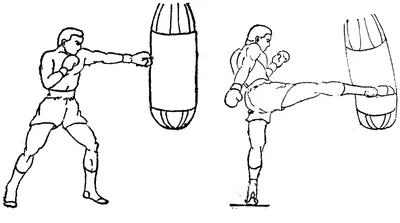 Бокс рисунки - 32 картинки