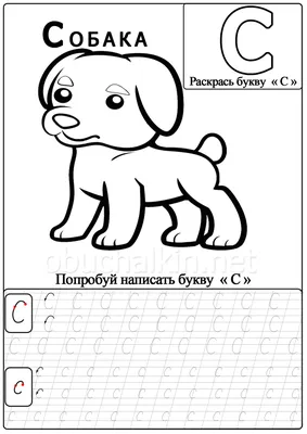 Картинки и прописи с буквой С помогут детям научиться писать картинки