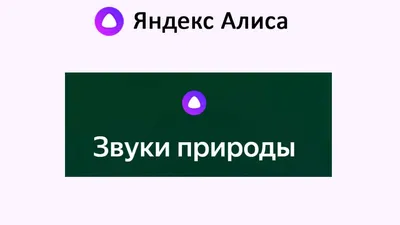 Алиса, включи звуки природы - леса, шум дождя, океана картинки