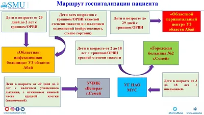 Семинар «Грипп и острые респираторно-вирусные инфекции у детей» – НАО  «Медицинский университет Семей» картинки