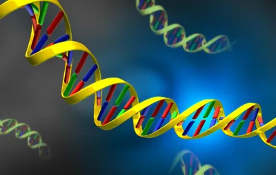 Обои ДНК, nucleic, acid, DNA картинки на рабочий стол, раздел рендеринг -  скачать картинки