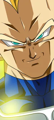 Скачать обои ID: 303284 / Аниме Dragon Ball Z Phone Wallpaper, Vegeta (Dragon Ball), 1440x3200 скачать бесплатно картинки