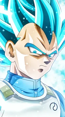 Dragon Ball Vegeta Обои Iphone Аниме Dragon Ball Super 1440x2560 Обои Id 690796 Скачать бесплатно Dragon Ball Z Vegeta… | Жемчуг дракона gt, Аниме, Жемчуг дракона картинки