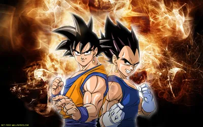 Dragon Ball Z Goku и Vegeta Wallpapers - Лучшие бесплатные обои Dragon Ball Z Goku и Vegeta картинки