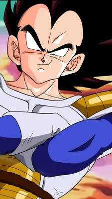 Скачать бесплатно обои ID: 437008 / Аниме Dragon Ball Z Phone Wallpaper, Vegeta (Dragon Ball), Гоку, 750x1334 скачать бесплатно картинки