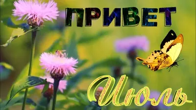 Привет, Июль! Июль - Макушка Лета! С Добрым Июльским Утром! С 1 Июля! -  YouTube картинки